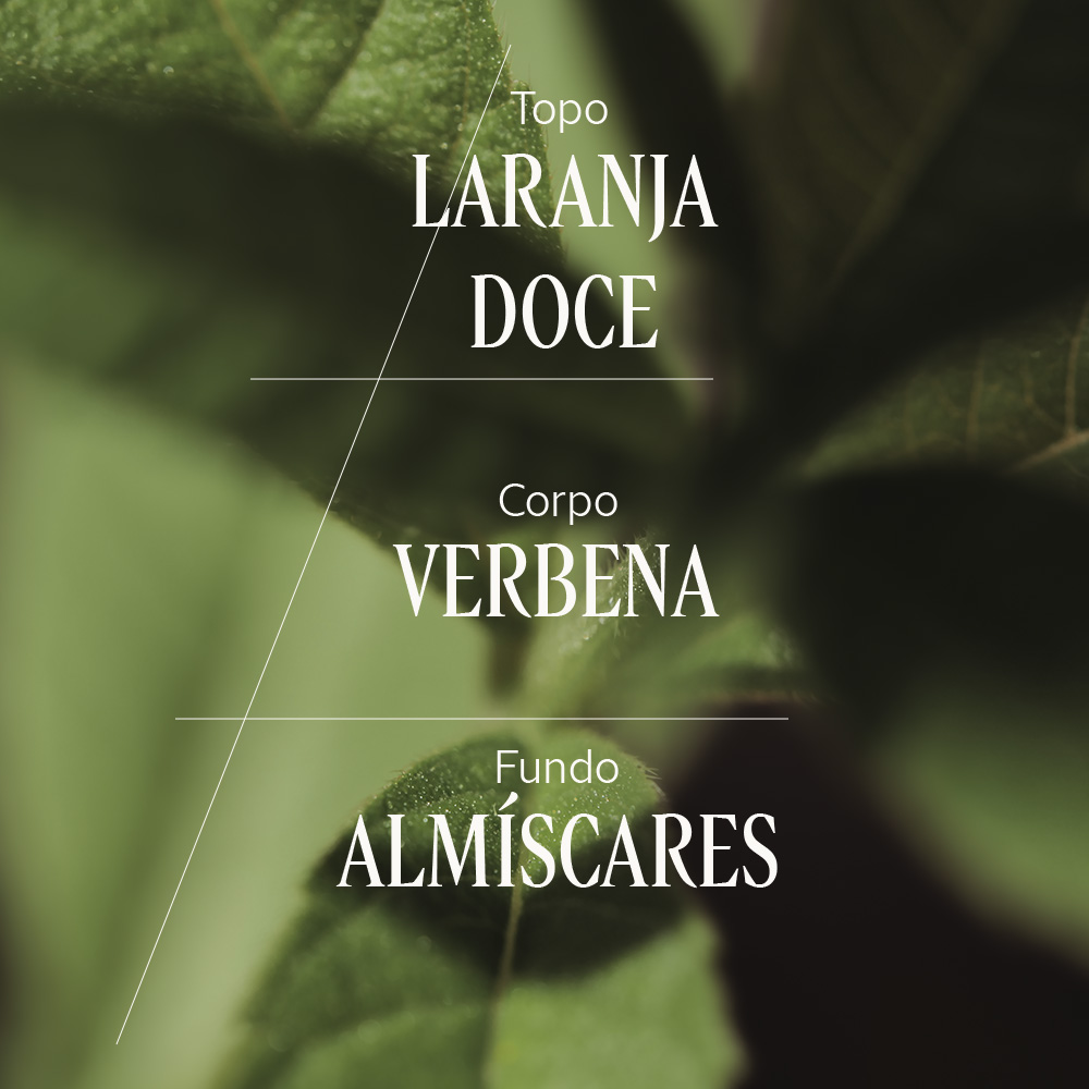Difusor de Ambiente Verbena Santal + 10 Varetas, , large